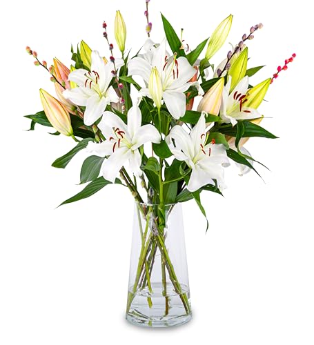 Luxury White Lilies - Fresh Flowers - Birthday, Anniversary, Get Well, Thank You, Occasion Flower - Cut Floral Arrangement for Home Décor, Gifts, Weddings, Sympathy, Celebrations