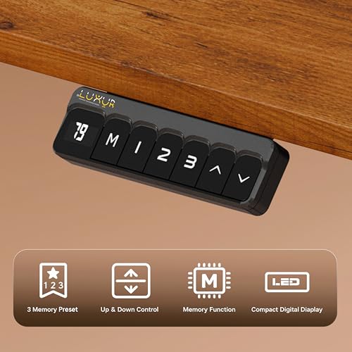 Image of Dr Luxur Stallion Electric Standing Desk | XL Large Height Adjustable Desk | 110KG Load | 3 Memory Presets | Zero Wobble | Child Lock | Low Noise Motor | 5 Year Warranty (Honey Pine, 1400 * 600 mm)