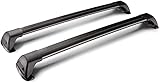 INTCHE 2 Piezas Baca de Coche para Mazda 2 Hatchback 2015-2020, Barras Laterales Rieles Cruzados Baca Coche Accesorios Coche