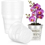 AOOWU 10 Stück Kunststoff Orchidee Pflanztöpfe, 11CM Anzuchttöpfe, Blumentöpfe, Orchideentopf Transparent, Pflanztopf Durchsichtig mit Ablauflöchern, Anzuchttopf Plastik Ackig Klein für Kaktus