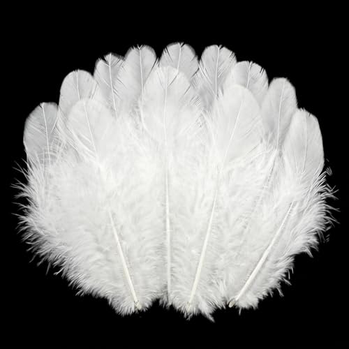800Pcs White Craft Rooster Feathers 3-5 inch Bulk Feathers for Crafting Kindergarten DIY Crafts, Wedding, Family Party Decorations, Dream Catcher Supplies, Natural Feathers