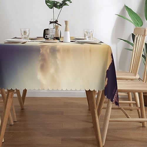 Nappe rectangulaire infroissable contre les taches pour table basse - 4