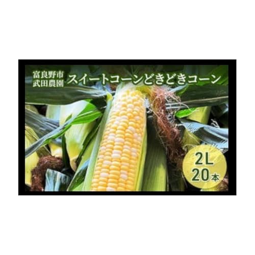 2026年夏発送 [武田農園とれたて直送]スイートコーン どきどきコーン 2L 20本 北海道 富良野産 (とうもろこし 野菜 新鮮 とうきび 甘い 先行予約 )
