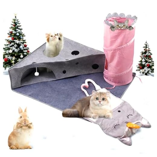 Meowland Cat Tunnel and Felt Mat