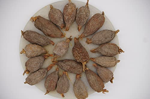 Aselife Energy™ Giant Organic Alligator Pepper Pods 5 Count #TOP4