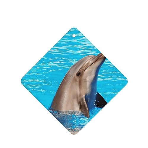 ʔCJ̎ԗpF p[\iCYꂽXCX J[A}Zs[^ubg ݂艺F܃J[h [vt 4 ԂƂ̑p