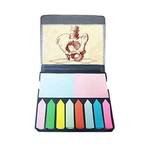 Squelette humain marque-page coloré bloc-notes pour anatomie et révision