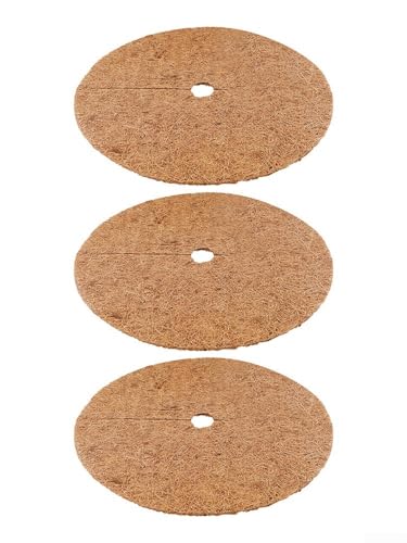 Fibra de coco para evitar la sequedad del suelo y proteger las raíces de las plantas 4