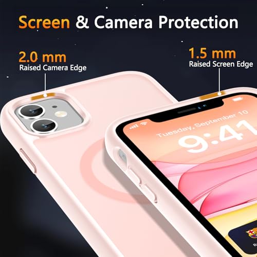 Coque magnétique iPhone 11 rose LATVIN avec protection d'écran
