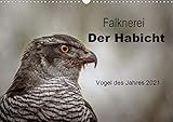 habichtsadler bilder PERFEKTES GESCHENK - Unsere Kalender sind als Geschenk für den Freund, die Freundin, den Mann, die Frau, Ehemann und Ehefrau, für den Jahrestag, Geburtstag, den Hochzeitstag, zur Verlobung, zum Einzug, für Kinder und Erwachsene, für frisch Verliebte oder ein altes Ehepaar, für Oma und Opa, für Papa und Mama, für jung und alt geeignet.