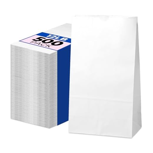 Can you take food on your carry on luggage Bulk Paper Lunch Bags for All Occasions