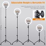 Large Ring Light with Stand, 19" Ring Light with 75" Tripod & Wheels, 6500K Dimmable Ringlight for ipad Phone Holder, Selfie Light for Live Tattoo Makeup Barber Video Recording Photography Lighting