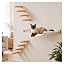 1 Hammock 2 Stairs