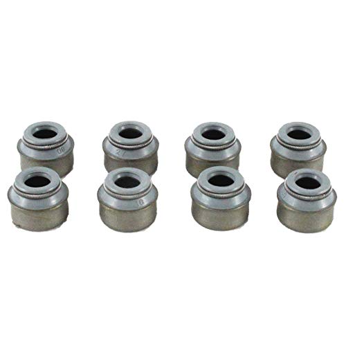 DNJ VSS803 Valve Stem Seal for 1993-2006 Volkswagen Beetle, Cabrio, Golf 1.9L-2.0L L4 8V SOHC 1896cc