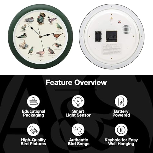 Mark Feldstein, Singing Wild Game Birds of North America Wall Clock, 13 Inch, Green