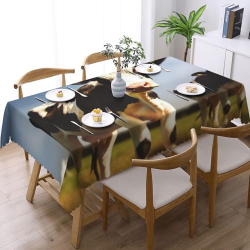 Nappe rectangulaire motif vache mignonne imperméable 137 x 183 cm lavable décoration table extérieur
