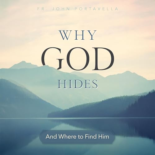 Why God Hides: And Where to Find Him cover art