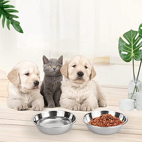 4 Pcs Shallow Cat Bowl, Stainless Steel Cat Bowl 12 Oz Cat Dishes and Bowls Easy to Clean Cat Watering Bowl with Extra Collapsible Dog Bowl for Puppy Kitten Small Animals (4pcs)
