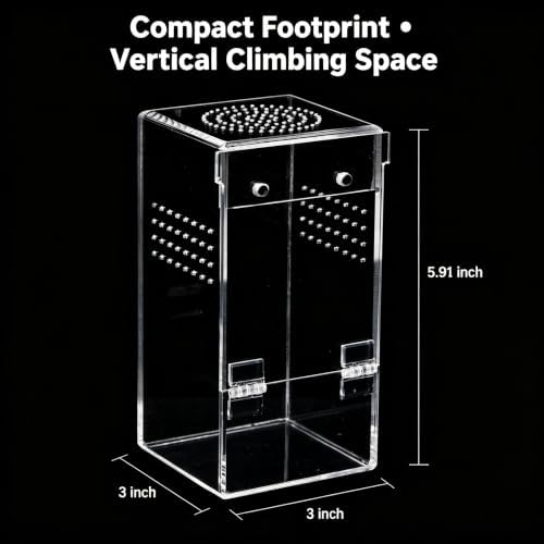 Moonzone Jumping Spider Enclosure, Clear Acrylic Habitat with Magnetic Door — 사진 5