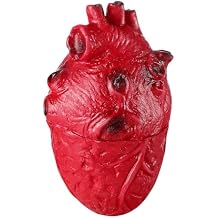 DECHOUS Heart Prop, 1Pc Halloween Fake Heart Realistic Prop, Life Size Body Organ Halloween Scary Body Decor for Haunted House Party