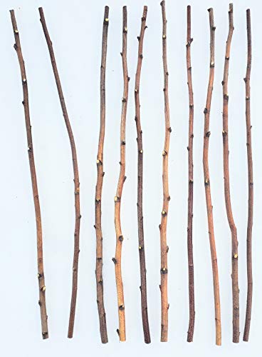 Tin Roof Treasure 4ft. Birch Pole Assortment, 4 pc. for Wood...