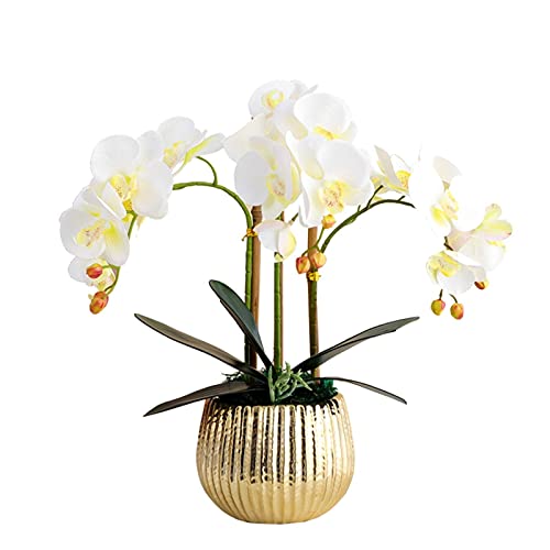 Orchidées blanches artificielles Phalaenopsis bonsaï vase doré