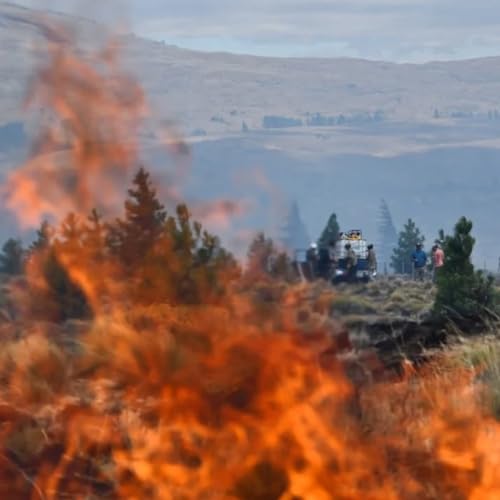 Entrevista Ecovida 2.0 Verano RPF- Nicol&aacute;s Palacios- Fotoperiodista Neuqu&eacute;n- Actualidad- 12-02-2026.