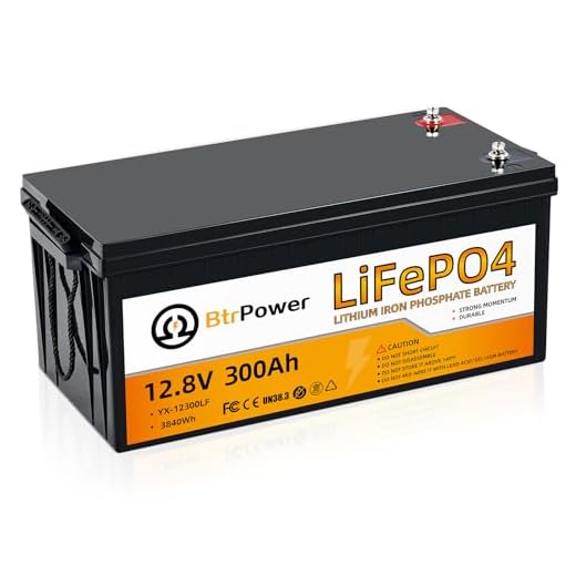 BtrPower 12V 300Ah Lithium LiFePO4 Battery, 8000+ Deep Cycles Lithium Batteries with 200A BMS, Max 3840Wh Energy, Perfect for Backup Power,Home Storage Energy,Solar System and Off-Grid Applications