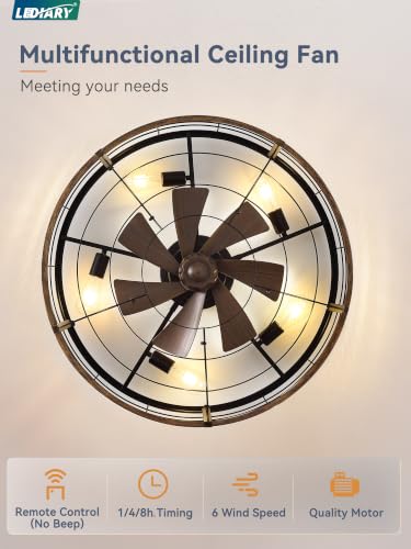 Image of LEDIARY 30 inch Caged Low Profile Ceiling Fan with Light and Remote Black Gold