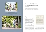 Leinenführigkeit: Der orientierte Hund