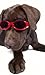 Doggles ILS Large Racing Flames Frame and Orange Lens