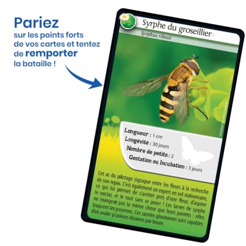 Bioviva Défis Nature Abeilles et autres pollinisateurs Jeu de bataille - vue 7