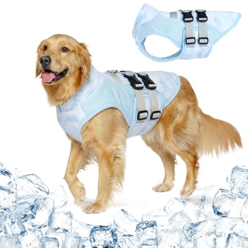 Manteau Rafraîchissant Chien, Gilet Refroidissant Respirant, Harnais Réglable avec Anneau D, Vêtement Été pour Chiens Petits à Grands, Brume Ciel XL