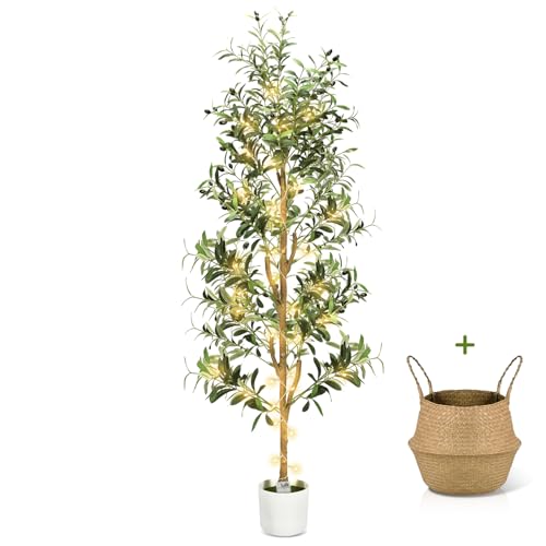 Olive Trees Artificial Indoor 6Ft Tall Faux Plants Large Fake Olivos Tree