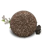 Hair Darkening Shampoo Bar Natural Organic Conditioner And Maintenance