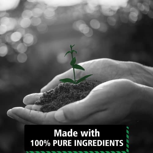 Cannabi-Plus-Premium-3300mg-10-ml-Legendary-and-Authentic-Best-from-The-Netherlands