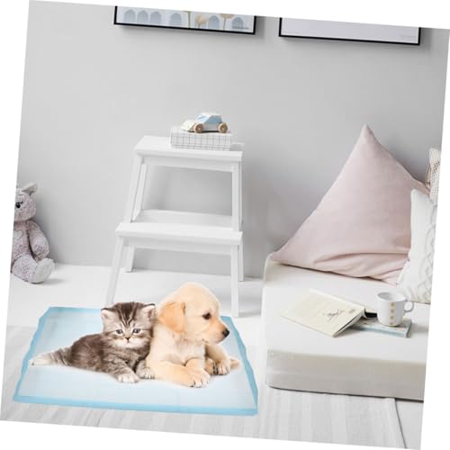 Coussinets pour chiot pipi Homoyoyo : tapis éducation maison - 8