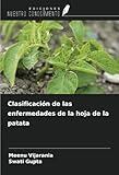 Clasificación de las enfermedades de la hoja de la patata