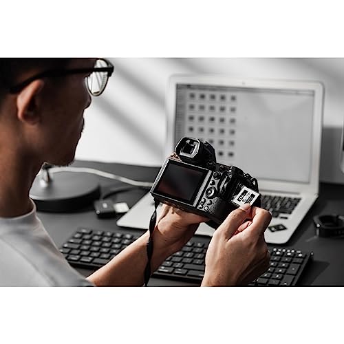 Image of Lexar Professional CFexpress Type-B 512 GB Silver Maximum Read 1750 MB /s Max Write 1,300 MB /s Supports Japanese Manufacturers, LCXEXSL512G-RNENG