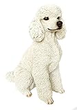 Hecho de resina Hi-Line Gift Ltd. Perro - Caniche Sentado - Estatua Blanca
