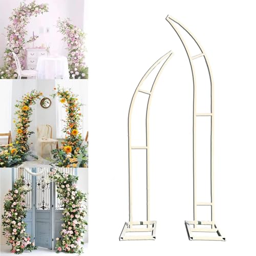Arche de jardin lune blanche avec support de toile de fond événementiel pour fleurs