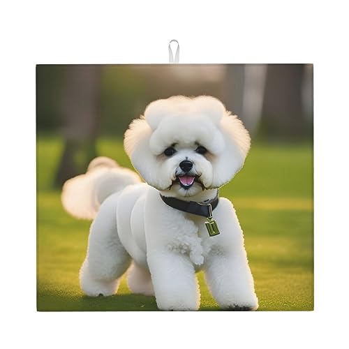 Bichon Frise Dog On The Grass...
