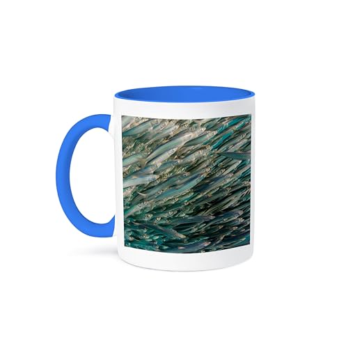 3dRose Sardine Forming bait ball, run, Eastern Cape 11oz Two-Tone Blue Mug