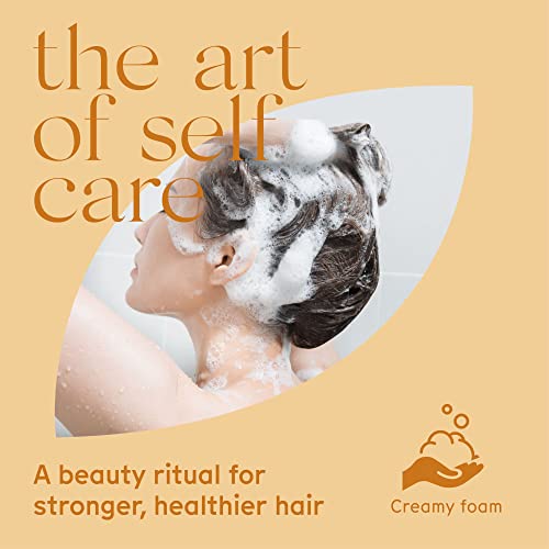 Arista Shampoo For Oily Hair | Travel Shampoo Bar | Yellow Clay, Sidr Fruit Powder & Jojoba Shampoo | Oily Hair Shampoo | Sulfate Free Shampoo Vegan | Shampoo Sulfate Free Paraben Free #TOP3
