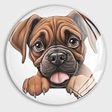 cherche chiot boxer blanc a donner Pratique à utiliser : ces aimants n'endommageront pas la surface, vous pouvez facilement les fixer à une surface métallique sans outils supplémentaires, également faciles à enlever.