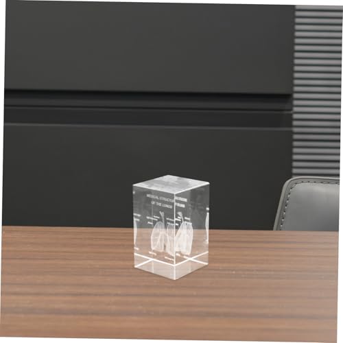 Modèle de poumon réaliste en cube de verre, cadeau idéal médecin - 6