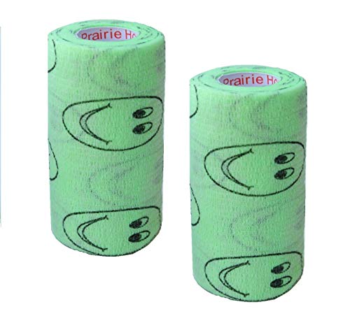 Vet Wrap Wrap Tape (Green with Smiles Pattern) (2 Pack) (3 Inch x 15 feet) Self Adhesive Adherent Adhering Cohesive Flex Self Stick Bandage Grip Roll Dog Cat Pet Horse
