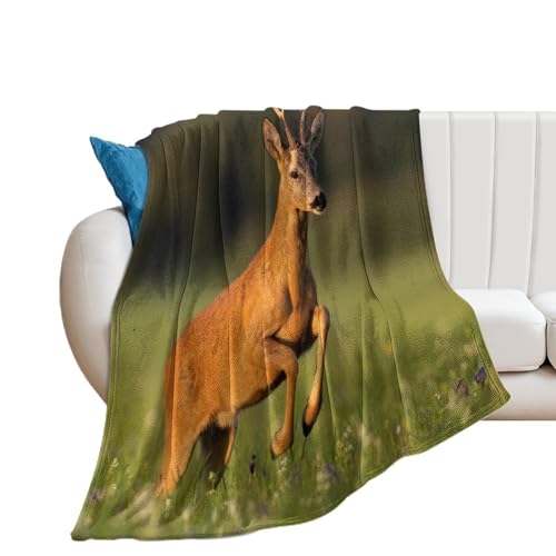 Realizzato in flanella di alta qualità: morbido e leggero al tatto, paffuto e soffice, perfetto per coccolarsi sul divano. La coperta è disponibile in tre misure a scelta ed è abbastanza grande per due persone per coccolarsi comodamente. La coperta Capriolo Jumping on Flowered Field è realizzata in 100% morbida microfibra di poliestere. È lussuosamente morbido e accogliente ed è leggero e traspirante. È facile da curare: lavare separatamente e delicatamente in acqua fredda, asciugare a bassa temperatura, e non fa
