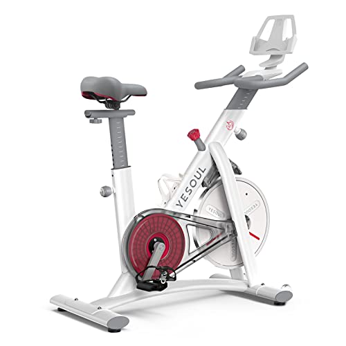 YESOUL S3 Smart Excersise Bike