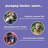 purapep Senior Power – 5-Fach Nährstoffkomplex mit Molkenprotein, Omega-3, Taurin & Vitaminen für Hunde & Katzen Senioren – Muskelaufbau & Fitness-Booster im Alter – Pulver | 280g